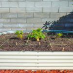 Planning For Your Raised Bed Gardening Idea: Turning Dreams To Reality