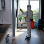 The Importance of Professional Pest Control: Protecting Your Home from Infestations